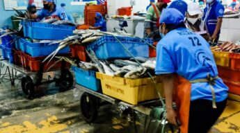 fish market in Lima, Peru