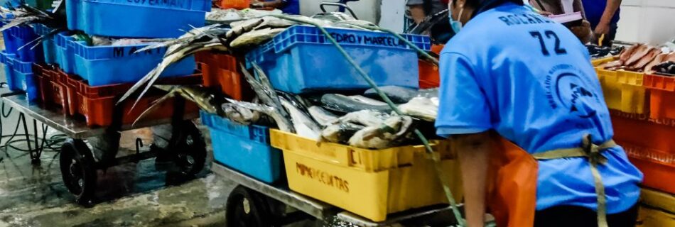 fish market in Lima, Peru