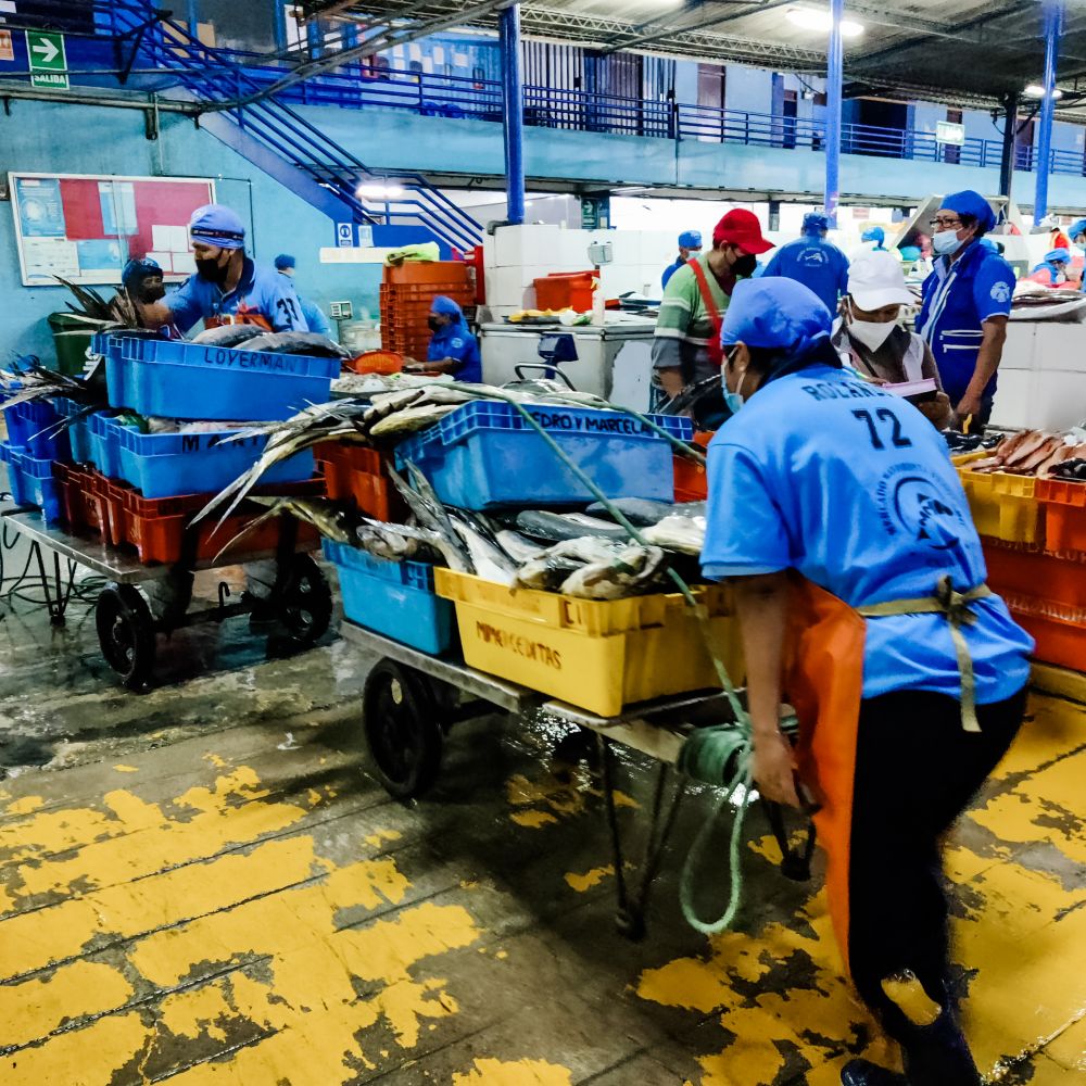 fish market in Lima, Peru